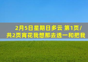 2月5日星期日多云 第1页/共2页宵花我想那去透一和把我